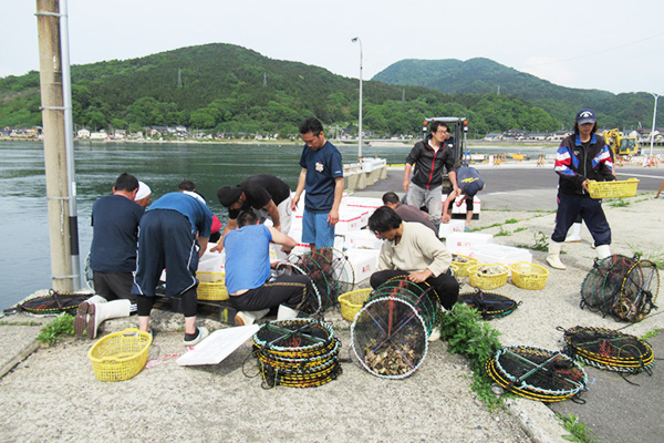 岩ガキの養殖に取組む漁港建設業者